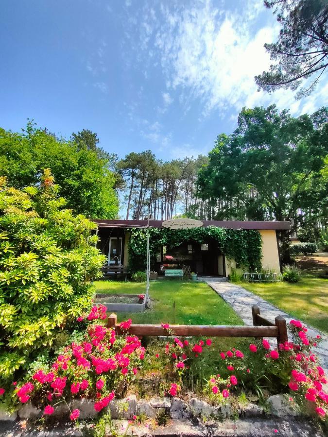 Village Vacances Les Chenes De Léon Εξωτερικό φωτογραφία